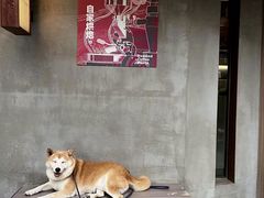 -Again Coffee Roaster(香蜜湖店)