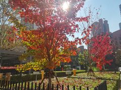 -长白岛森林公园