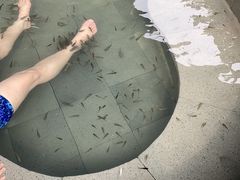 -扬州瘦西湖温泉