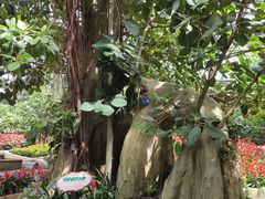 -南山植物园