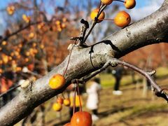 -沈阳森林动物园