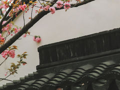 -枫桥夜泊