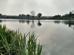 -三圣花乡旅游区