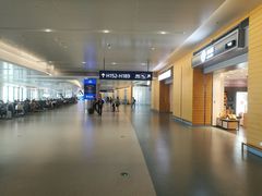 -上海浦东国际机场-T2航站楼