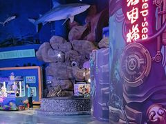 -烟台海昌鲸鲨海洋公园