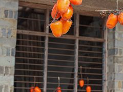 -楠溪江风景名胜区