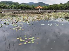 -红山村