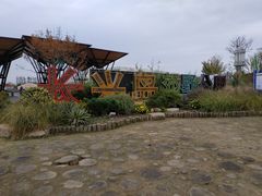 -上海长兴岛郊野公园