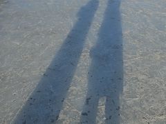 -呼兰河口湿地公园