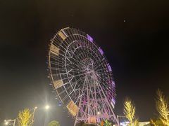 -南昌之星摩天轮