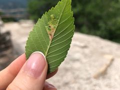 -北京山里寒舍度假酒店