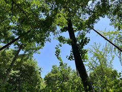 -西山漾湿地公园