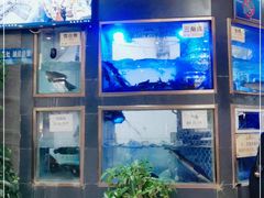 -沱江鱼府(丽江店)