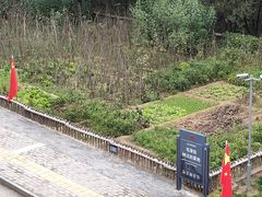 -延安杨家岭革命旧址