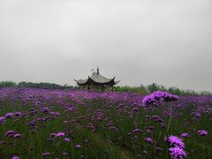 -杭州城北体育公园