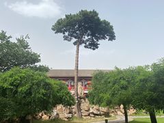 -承德避暑山庄景区