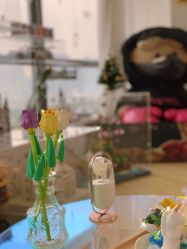 -E.L.K造型momopark店