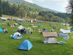 -武陵山森林公园