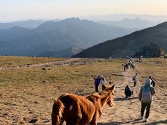 -灵山