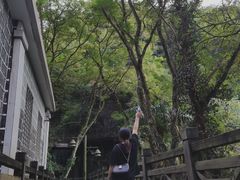 -安溪清水岩