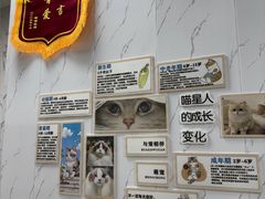 -瑞鹏瑞爱宠物医院·全科·猫科·血液透析中心(龙头寺店)