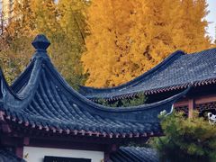 -郑和公园