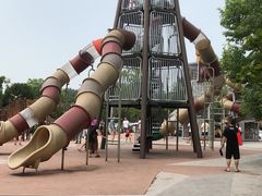 -枫香湖儿童公园