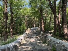 -阳台山自然风景区