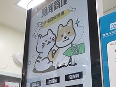 -美联众合动物医院·24h转诊中心