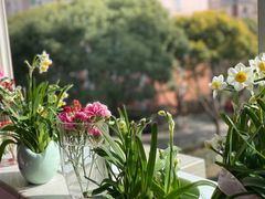 -双季花艺园艺市场(浦东店)