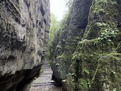 -山王坪喀斯特国家生态公园