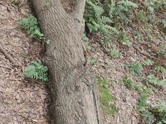 -南京市无想山景区