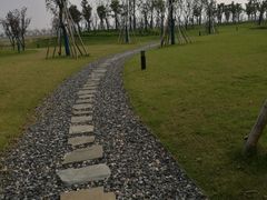 -春花秋色城市公园