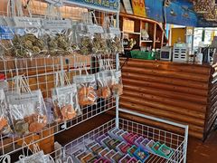-蓝湾碧波·老字号·疍家非遗海上餐厅