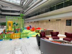-南京禄口机场雅高铂尔曼大酒店