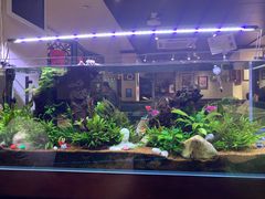 -阿莉餐厅(枣阳路店)