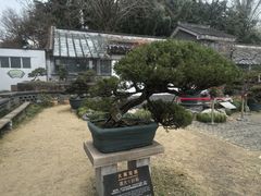 -水绘园