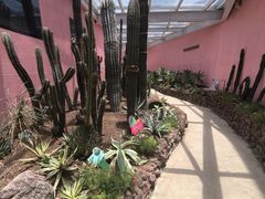 -正佳雨林生态植物园