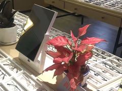 -康利眼镜·蔡司战略合作店(龙泉书房店)