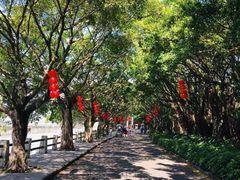 -大湾区中央湿地公园