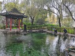 -百脉泉景区