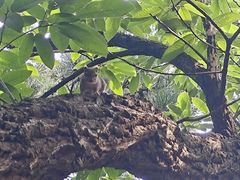 -天津盘山风景名胜区