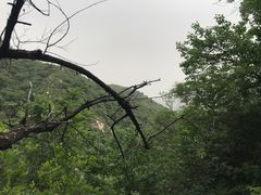 -北京水岸山吧度假村(雁栖镇店)