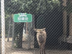 -枫叶小镇奥特莱斯