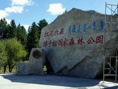 -红花尔基樟子松国家森林公园