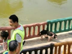 -湖南湘都生态农业园