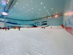 -哈尔滨热雪奇迹