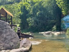 -广州白江湖森林公园