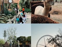 -祥源·阜阳生态乐园