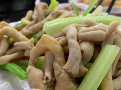 -新会鲜蚝鸡煲(新会总店)